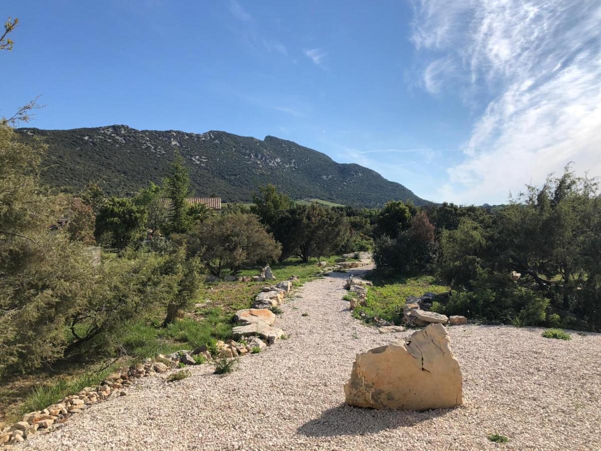 Le Domaine Du Cade-Gites D'Exception 4Etoiles "La Villa Du Cade" Cazevieille ภายนอก รูปภาพ