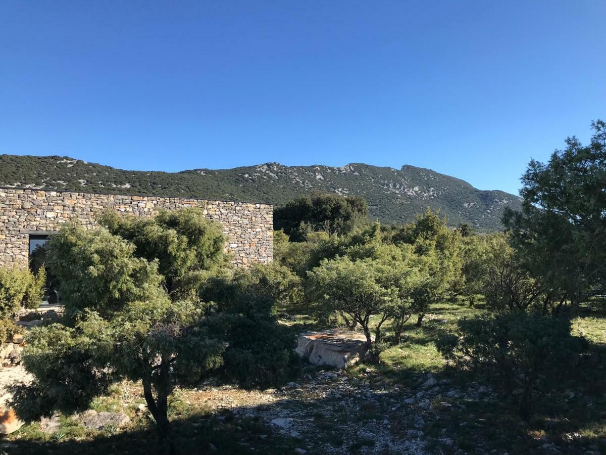 Le Domaine Du Cade-Gites D'Exception 4Etoiles "La Villa Du Cade" Cazevieille ภายนอก รูปภาพ